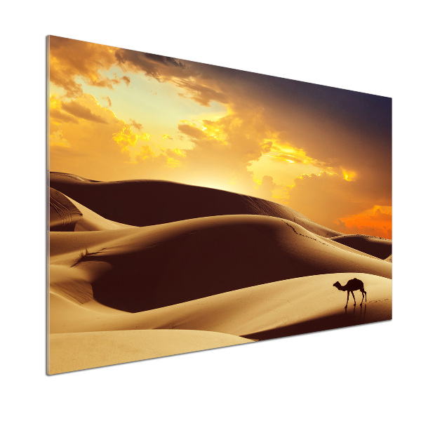 Panel do kuchyně Velbloud Sahara