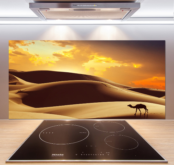 Panel do kuchyně Velbloud Sahara