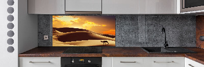 Panel do kuchyně Velbloud Sahara