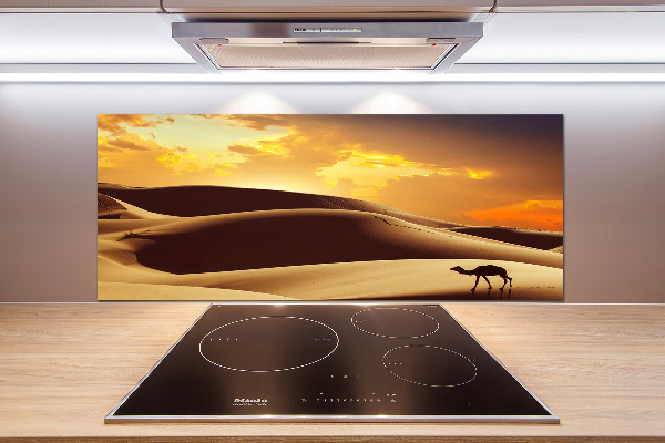 Panel do kuchyně Velbloud Sahara