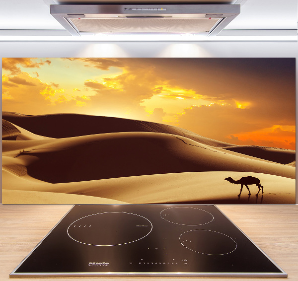 Panel do kuchyně Velbloud Sahara