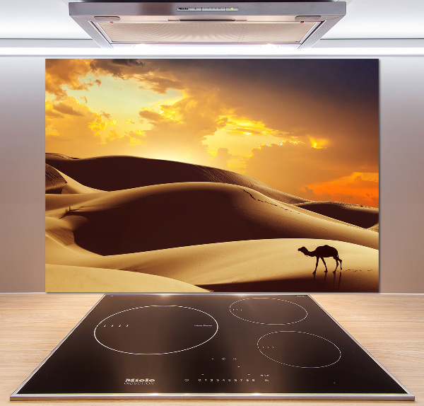 Panel do kuchyně Velbloud Sahara