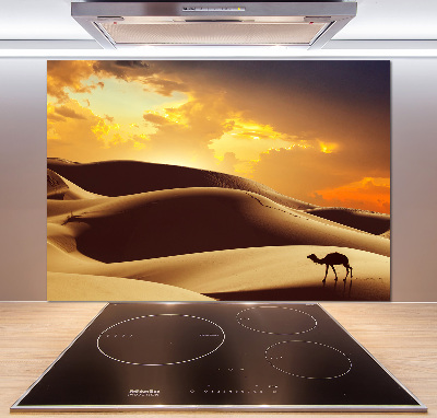 Panel do kuchyně Velbloud Sahara