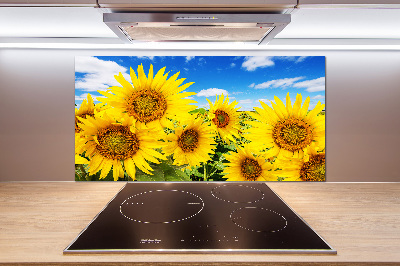 Dekorační panel sklo Slunečníky