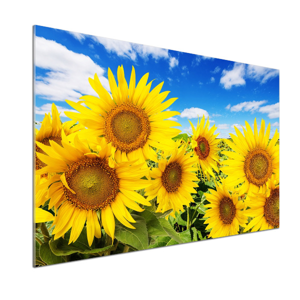 Dekorační panel sklo Slunečníky