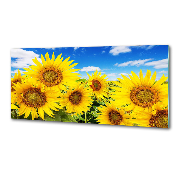 Dekorační panel sklo Slunečníky