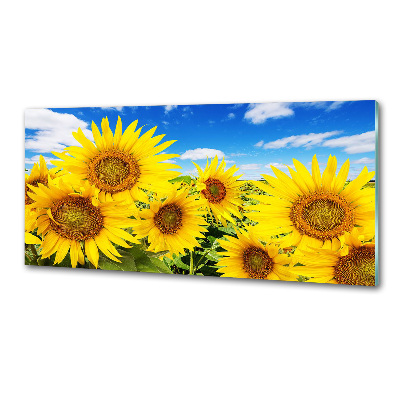 Dekorační panel sklo Slunečníky