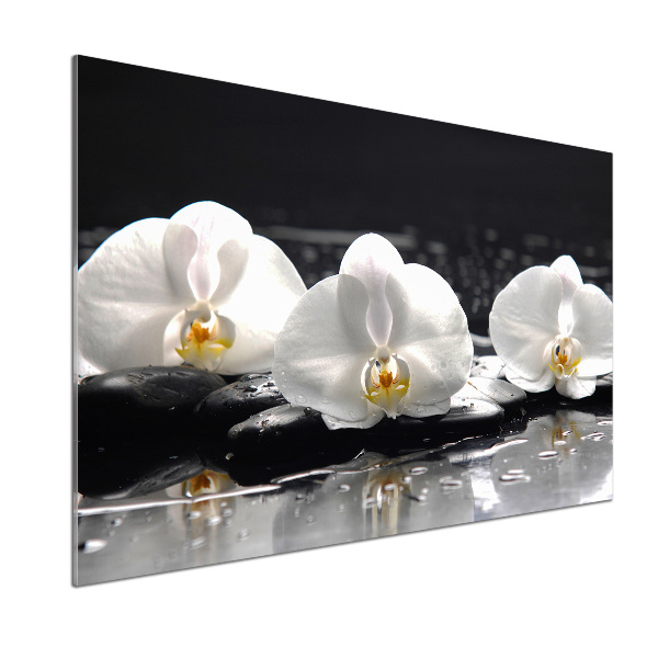 Skleněný panel do kuchynské linky Orchidej