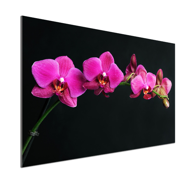 Skleněný panel do kuchynské linky Orchidej