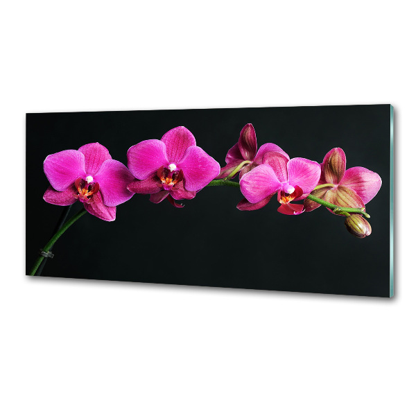 Skleněný panel do kuchynské linky Orchidej