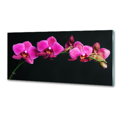 Skleněný panel do kuchynské linky Orchidej