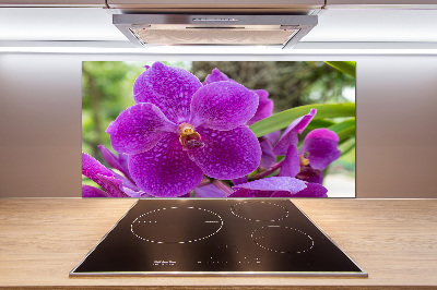Skleněný panel do kuchynské linky Orchidej