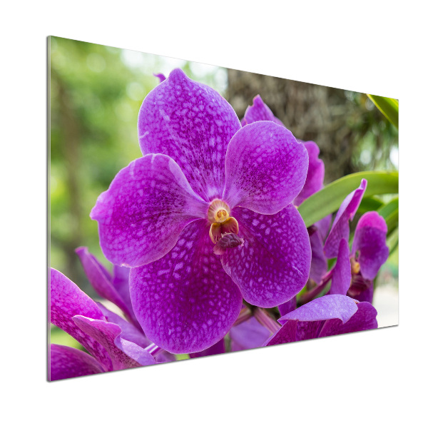 Skleněný panel do kuchynské linky Orchidej
