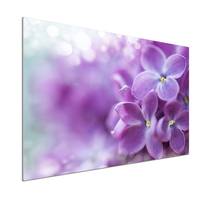 Dekorační panel sklo Květ bzu