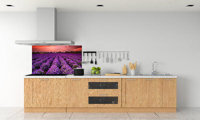 Dekorační panel sklo Pole levandule