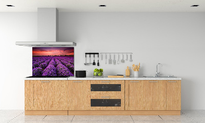 Dekorační panel sklo Pole levandule