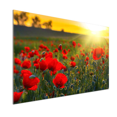 Dekorační panel sklo Pole máků