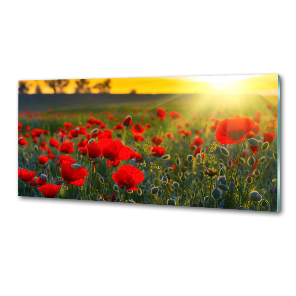 Dekorační panel sklo Pole máků