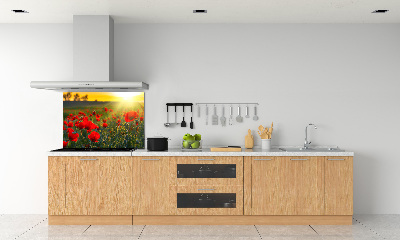 Dekorační panel sklo Pole máků