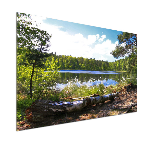 Panel do kuchyně Lesní panorama