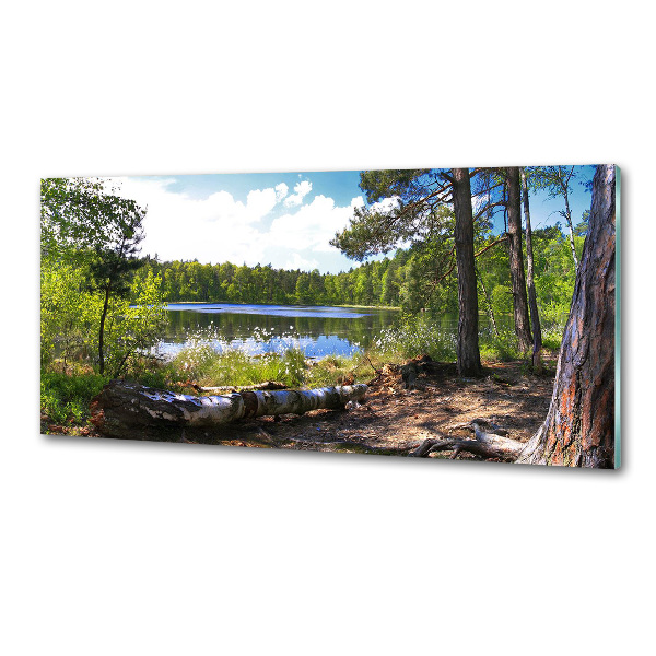 Panel do kuchyně Lesní panorama
