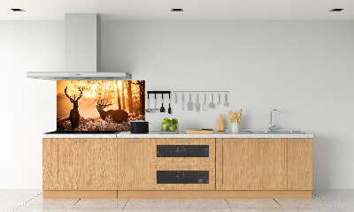 Panel do kuchyně Jelen východ