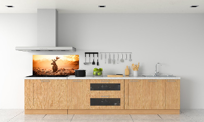 Panel lacobel Jelen východ slunce