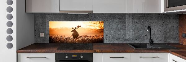 Panel lacobel Jelen východ slunce