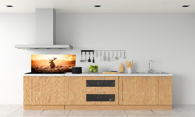 Panel lacobel Jelen východ slunce