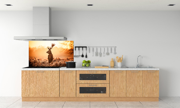 Panel lacobel Jelen východ slunce