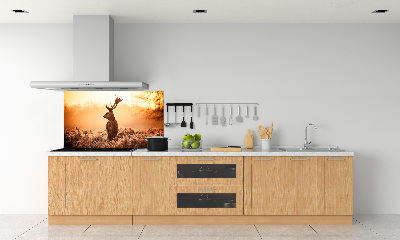 Panel lacobel Jelen východ slunce