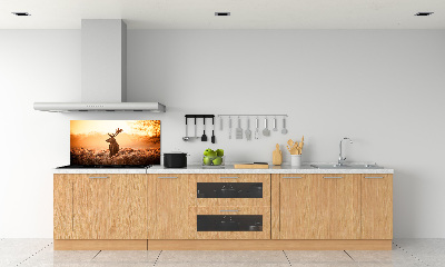 Panel lacobel Jelen východ slunce