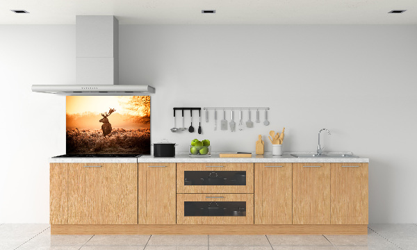 Panel lacobel Jelen východ slunce