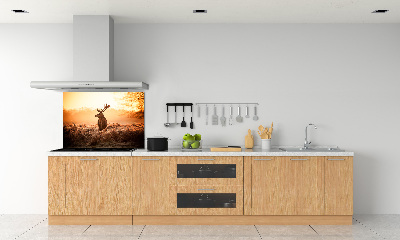 Panel lacobel Jelen východ slunce