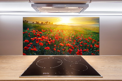 Dekorační panel sklo Pole máků