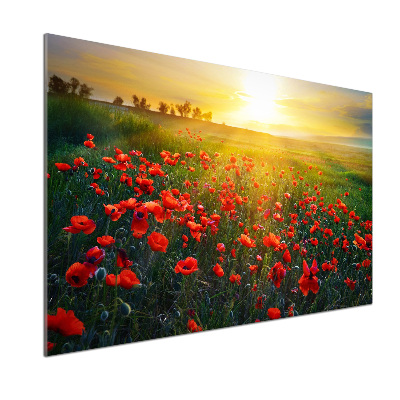 Dekorační panel sklo Pole máků