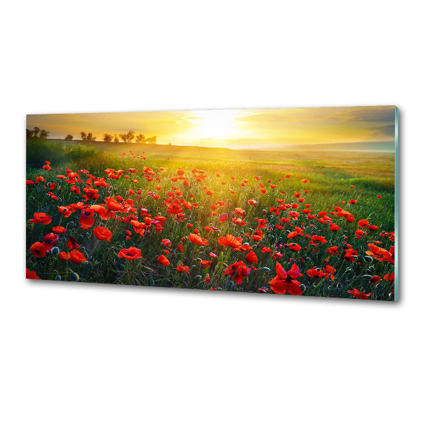 Dekorační panel sklo Pole máků