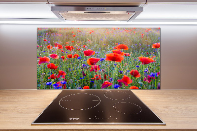 Dekorační panel sklo Plolní květiny