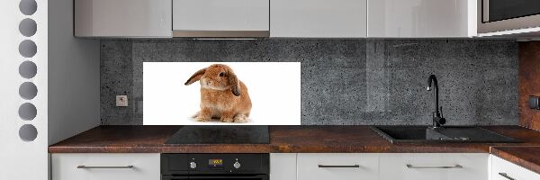 Dekorační panel sklo Červený králík