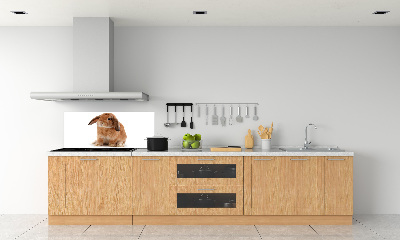 Dekorační panel sklo Červený králík