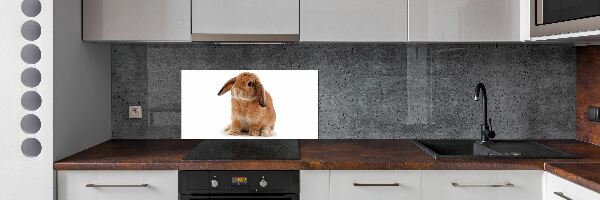 Dekorační panel sklo Červený králík