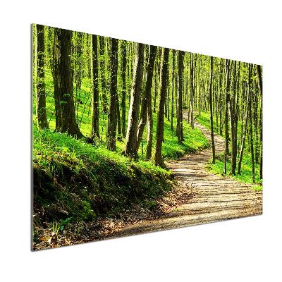 Panel do kuchyně Stezka v lese