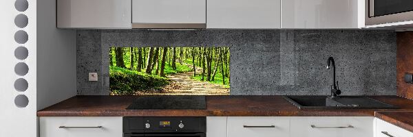 Panel do kuchyně Stezka v lese
