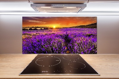 Dekorační panel sklo Pole levandule