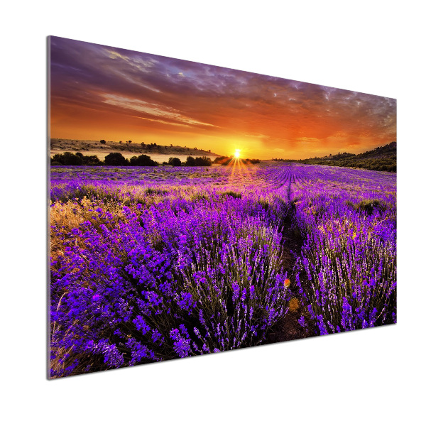 Dekorační panel sklo Pole levandule