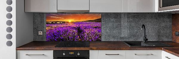 Dekorační panel sklo Pole levandule