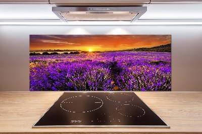 Dekorační panel sklo Pole levandule