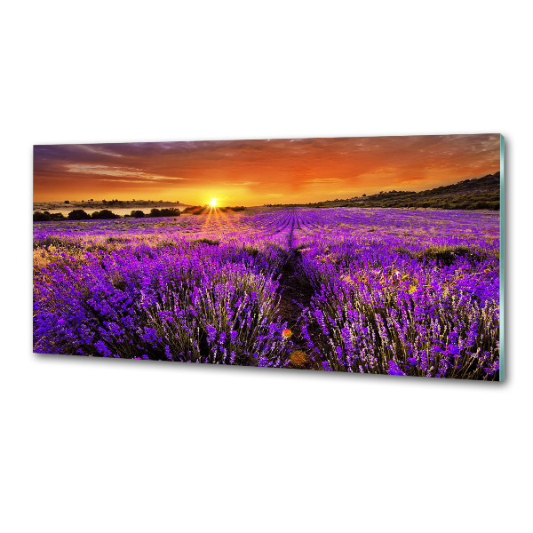 Dekorační panel sklo Pole levandule