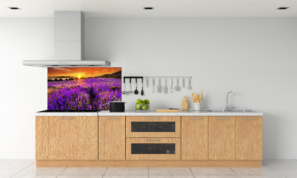 Dekorační panel sklo Pole levandule