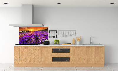 Dekorační panel sklo Pole levandule